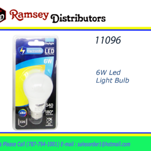 11096 - CH87490  6W LED LIGHT BULB -