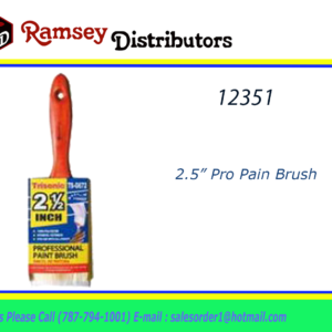 12351 - TS-G672  2.5" PRO PAINT BRUSH