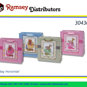 30430 - 41368  Horizontal Baby Bag
