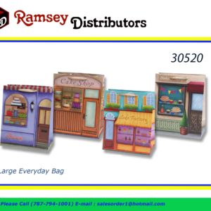 30520 - 41060  Large Everyday Bag