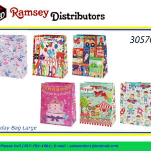 30570 - 41364  Large Birthday Bag