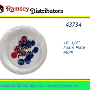 43734 - 10  1/4"  Foam Plate 48CT 19361