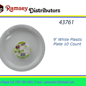 43761 - CN82732  9' White Plastic Plate 10 Count