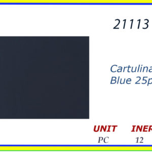 21113 - CARTULINA BLUE (25)