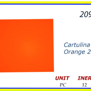 20970 - CARTULINA NARANJA (25)