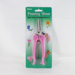 55474 - 893 Pruning Petite