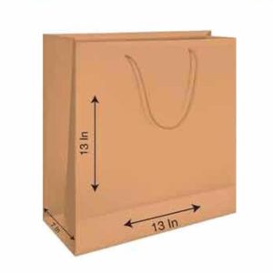 48025 - 91396 BROWN PAPER BAGS DOCENA