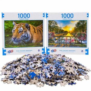 59733 - FANTASTIC PUZZLE 1000PC